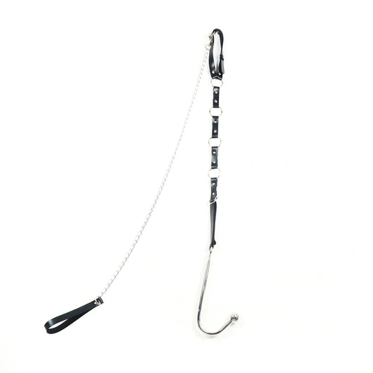 5853 and Kinky Collar Anal with EverydayUse Leash Hook 0912